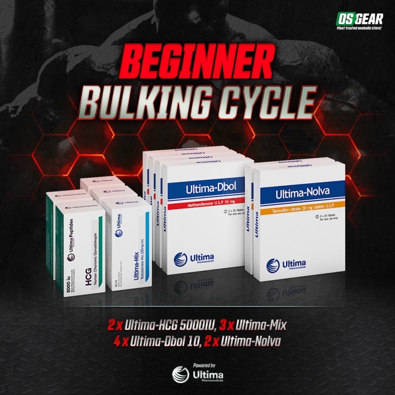 b-beginner-bulking-cycle-212