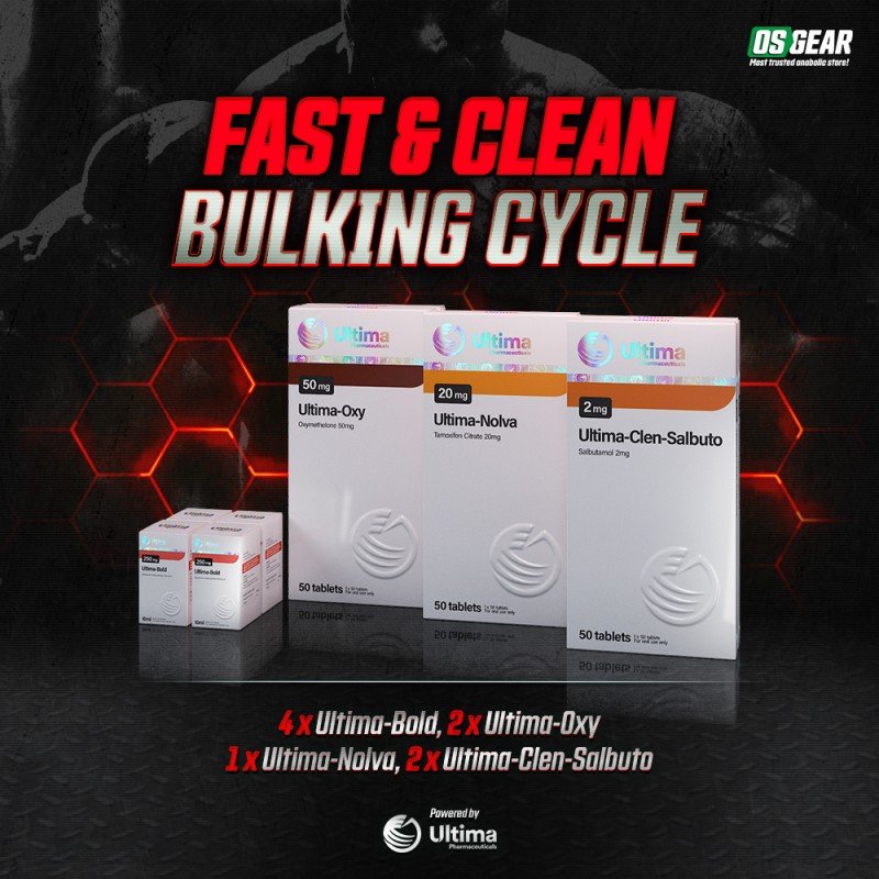 b-fast-clean-bulking-cycle-212